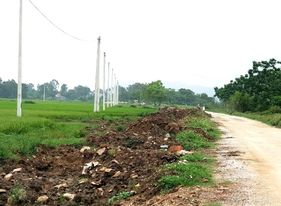 Thông tin từ đường dây nóng